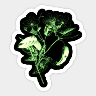 Flowers art - Green flower blooming Sticker